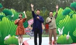 大榭新闻爆料最新消息视频,视频揭示惊人内幕